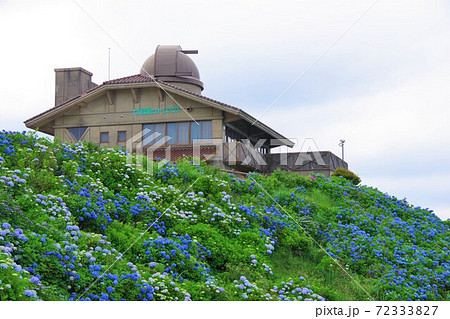 徳島県佐那河内村　大川原高原のヒルトップハウスとアジサイ 72333827