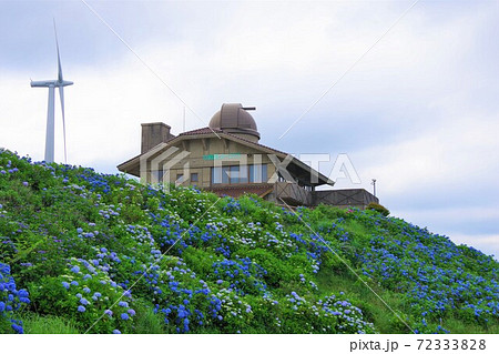 徳島県佐那河内村　大川原高原のヒルトップハウスとアジサイ 72333828
