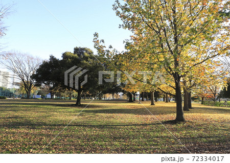 都立中川公園（B地区　自由広場）　東京都足立区中川　 72334017