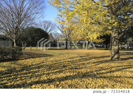 都立中川公園（B地区　自由広場）　東京都足立区中川　 72334018