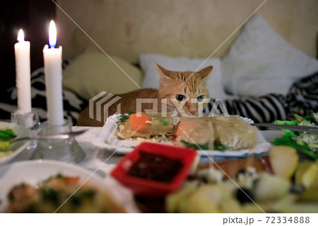 Fluffy ginger cat looks and sniffs food on the festive table 72334888
