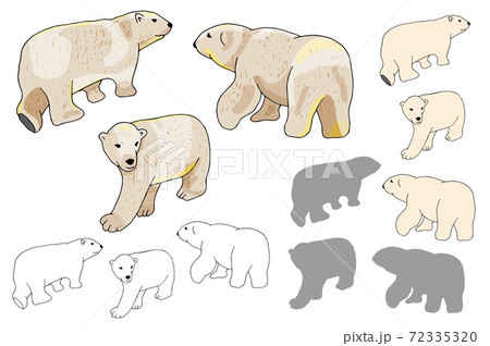 Vector white polar bears set isolate on white background. Bear Silhouettes on white background. Vector white polar bears set isolate on white background. Bear Silhouettes on white background. 72335320