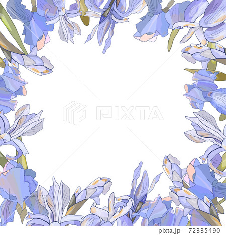Square template with irises isolated on white. 72335490