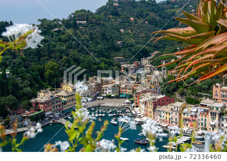 Portofino, Liguria, Italy 72336460
