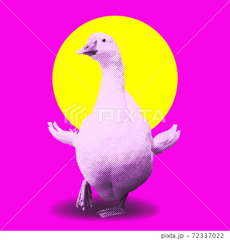 Modern collage bright poster with a goose and sun 72337022