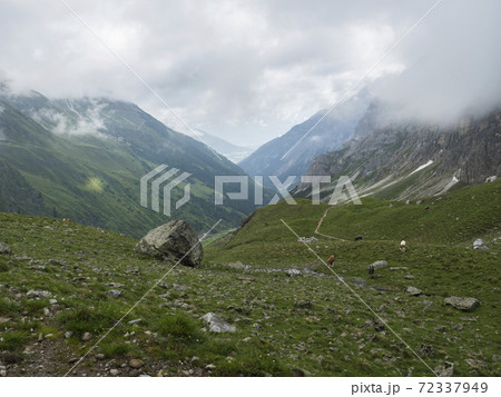 view on Stubaital Valley and alpine meadow with grazing cows at Stubai hiking trail, Stubai Hohenweg, Alpine landscape of Tirol Alps, Austria. Summer blue sky, white clouds view on Stubaital Valley and alpine meadow with grazing cows at Stubai hiking trail, Stubai Hohenweg, Alpine landscape of Tirol Alps, Austria. Summer blue sky, white clouds 72337949