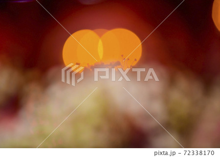 Bokeh at wedding party Bokeh at wedding party 72338170