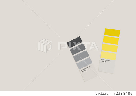 Samples of trending colors of 2021 - yellow and grey isolated on light gray background. Selection of colors for design of clothes, interiors, websites and publications. Flat lay. Copyspace. Top view. 72338486
