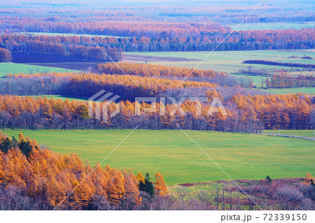 秋の開陽台展望台　北海道中標津町 72339150