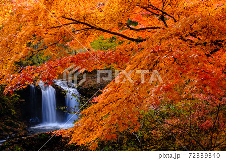 山梨・富士吉田・鐘山の滝の紅葉 72339340