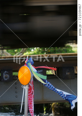 鳥取　四季の散歩　鯉幟が泳ぐ川　瀬戸川 72339467