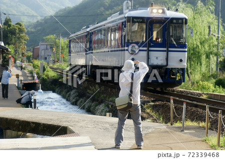 鳥取　四季の散歩　鯉幟が泳ぐ川　瀬戸川 72339468