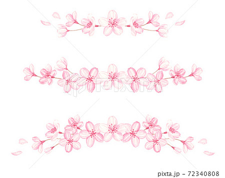 水彩で描いた桜のラインセットのイラスト素材