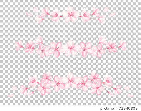 水彩で描いた桜のラインセットのイラスト素材