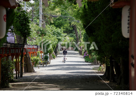 大阪府豊中市・服部住吉神社参道 72340814