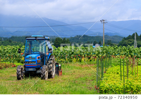 畑のトラクター　夏　農業イメージ　人物なし 72340950