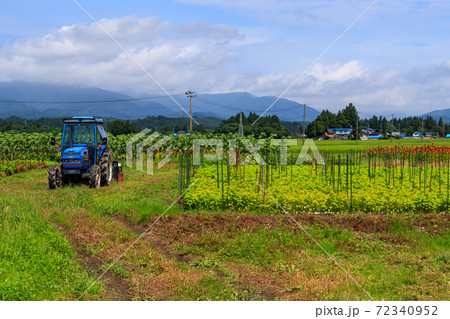 畑のトラクター　夏　農業イメージ　人物なし 72340952
