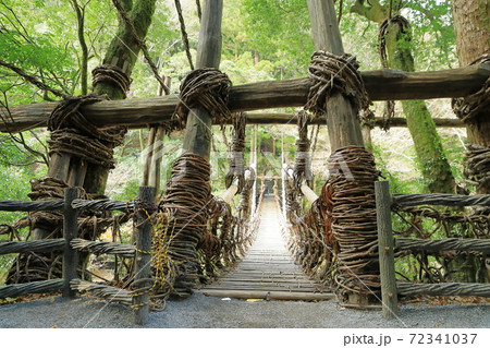 祖谷のかずら橋（国指定重要有形民俗文化財）徳島県三好市 72341037