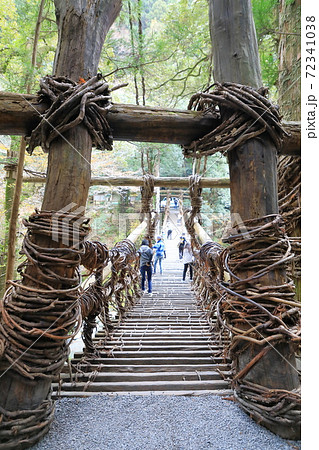 祖谷のかずら橋（国指定重要有形民俗文化財）徳島県三好市 72341038
