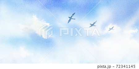 空に羽ばたく鳥3羽 水彩画のイラスト素材