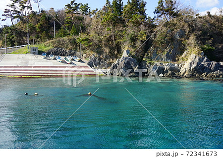 三陸の海は水が綺麗　小路漁港 72341673