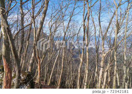 武川岳から蔦岩山の登山道から見た武甲山（奥武蔵） 72342181