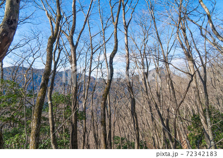 武川岳から蔦岩山の登山道から見た武甲山（奥武蔵） 72342183