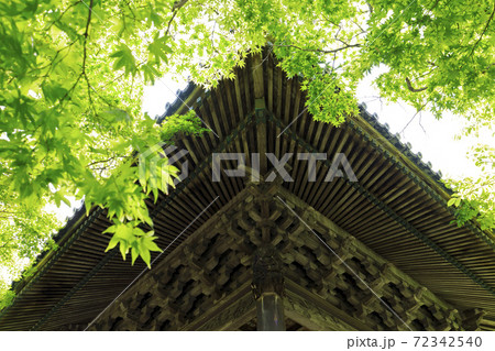 修善寺・温泉地・新緑 修善寺・温泉地・新緑 72342540