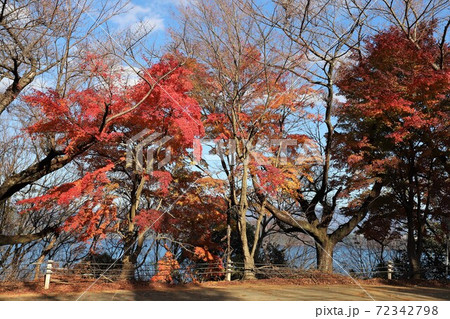 奥琵琶湖パークウェイの紅葉 72342798