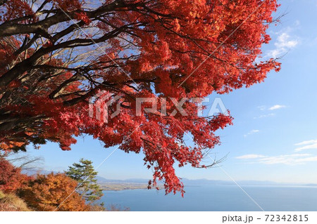 奥琵琶湖パークウェイの紅葉 72342815
