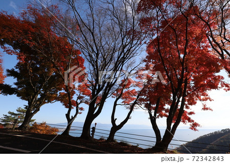 奥琵琶湖パークウェイの紅葉 72342843