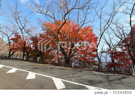 奥琵琶湖パークウェイの紅葉 72342850