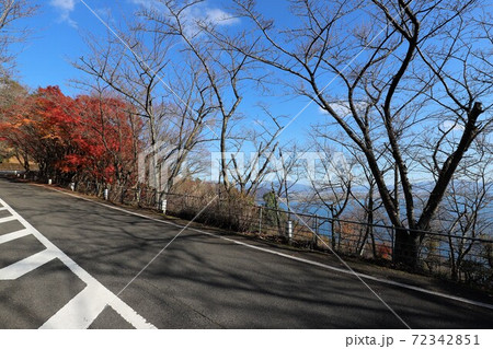 奥琵琶湖パークウェイの紅葉 72342851