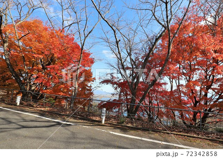 奥琵琶湖パークウェイの紅葉 72342858