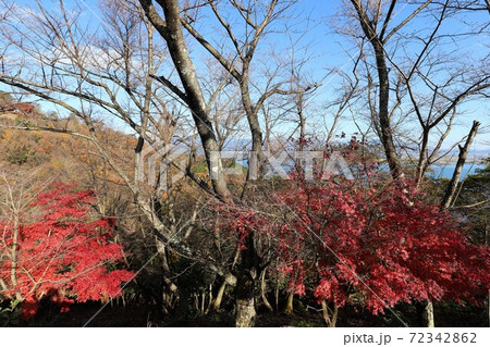 奥琵琶湖パークウェイの紅葉 72342862
