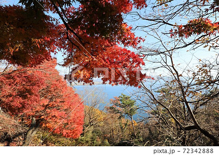 奥琵琶湖パークウェイの紅葉 奥琵琶湖パークウェイの紅葉 72342888