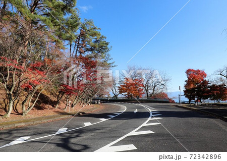 奥琵琶湖パークウェイの紅葉 72342896