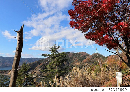 奥琵琶湖パークウェイの紅葉 72342899