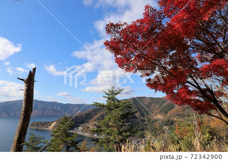奥琵琶湖パークウェイの紅葉 奥琵琶湖パークウェイの紅葉 72342900