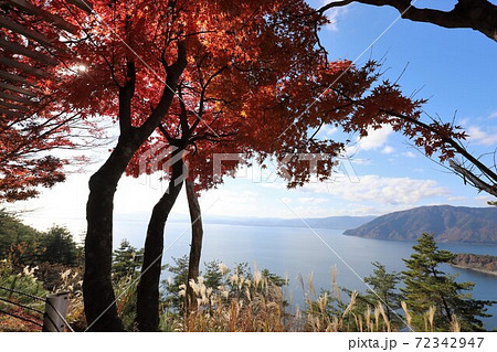 奥琵琶湖パークウェイの紅葉 奥琵琶湖パークウェイの紅葉 72342947