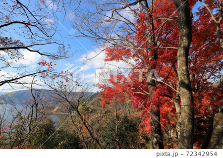 奥琵琶湖パークウェイの紅葉 72342954