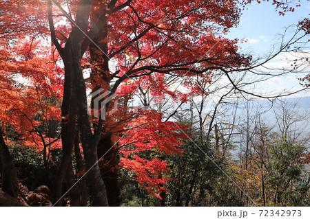 奥琵琶湖パークウェイの紅葉 奥琵琶湖パークウェイの紅葉 72342973