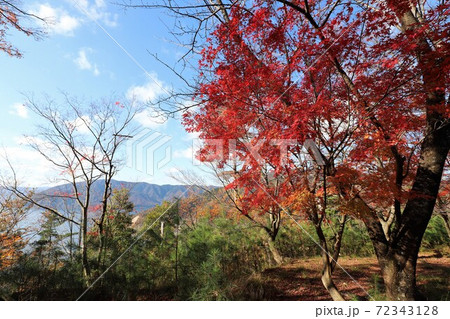 奥琵琶湖パークウェイの紅葉 72343128
