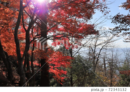 奥琵琶湖パークウェイの紅葉 奥琵琶湖パークウェイの紅葉 72343132