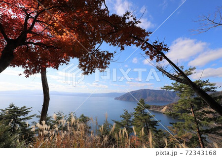 奥琵琶湖パークウェイの紅葉 72343168