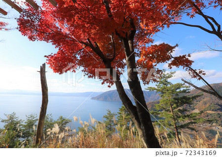 奥琵琶湖パークウェイの紅葉 72343169