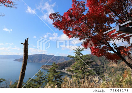 奥琵琶湖パークウェイの紅葉 72343173