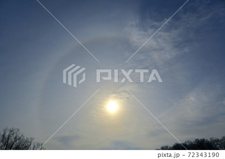 太陽に日暈と林 72343190