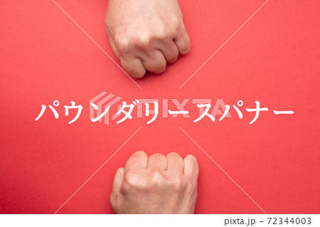 イメージ　パウンダリースパナー 72344003
