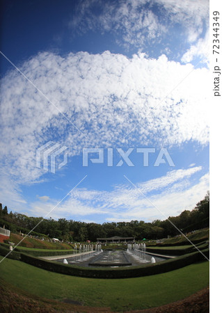 西洋庭園 バラ バラ園 東京 広々 憧れ 植物公園 西洋庭園 バラ バラ園 東京 広々 憧れ 植物公園 72344349